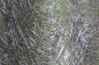 Tanlan Banks fibreglass roof work